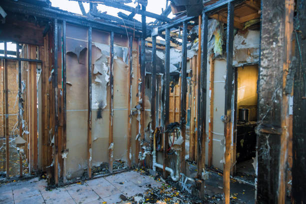 Professional Fire Damage Assessment technician working in Hamburg, IA